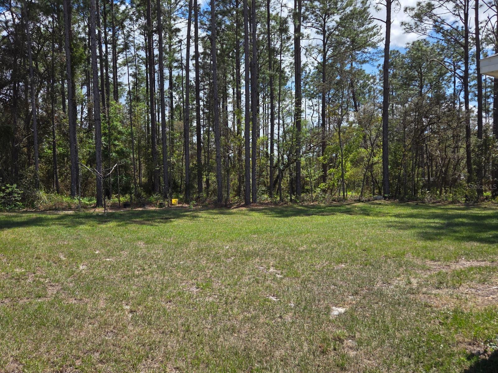 6918 SW 144TH LN, OCALA, FL, 34473