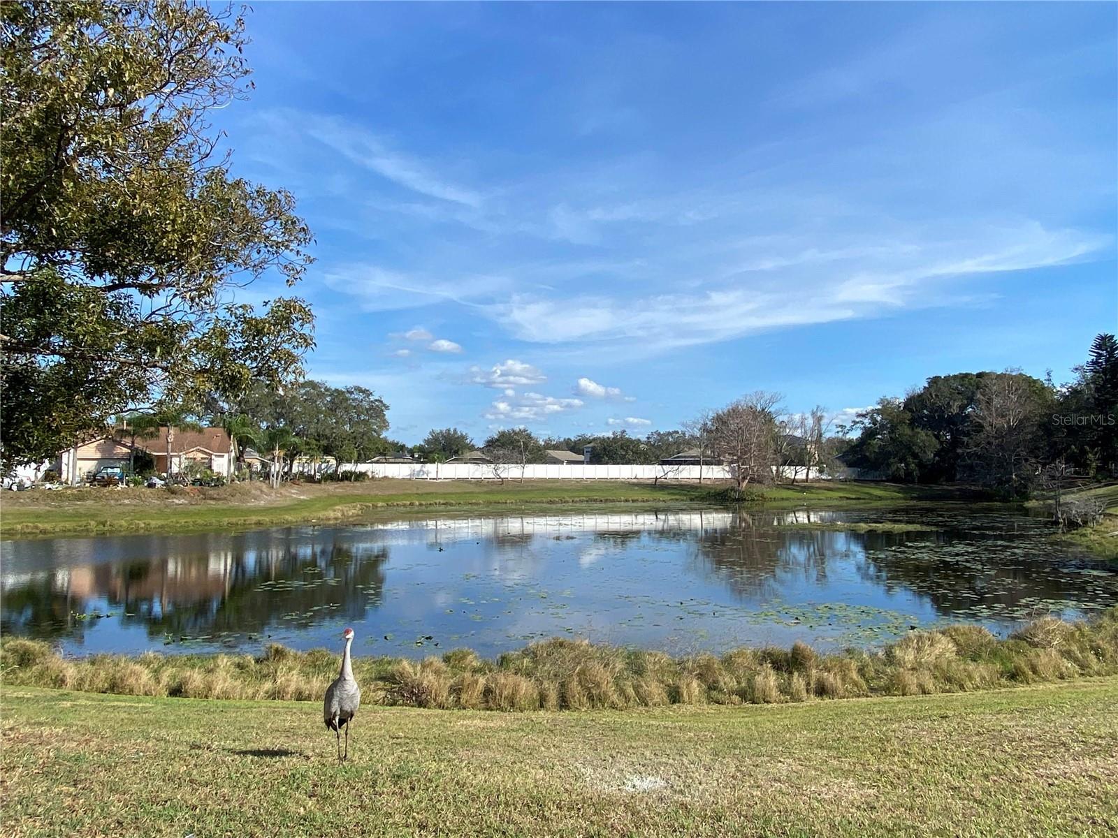 1441 BRIDLEBROOK DR, CASSELBERRY, FL, 32707