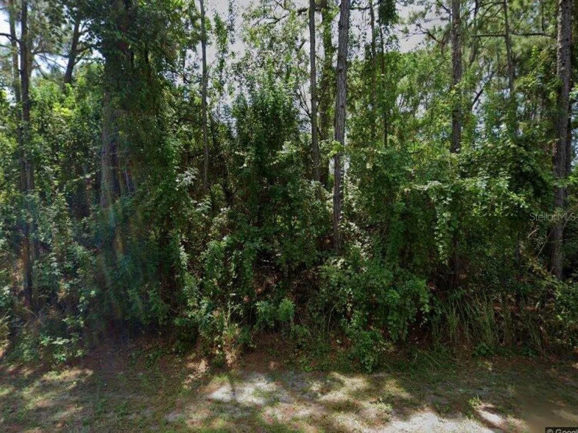 1250 GINGOLD ST NW, PALM BAY, FL, 32907