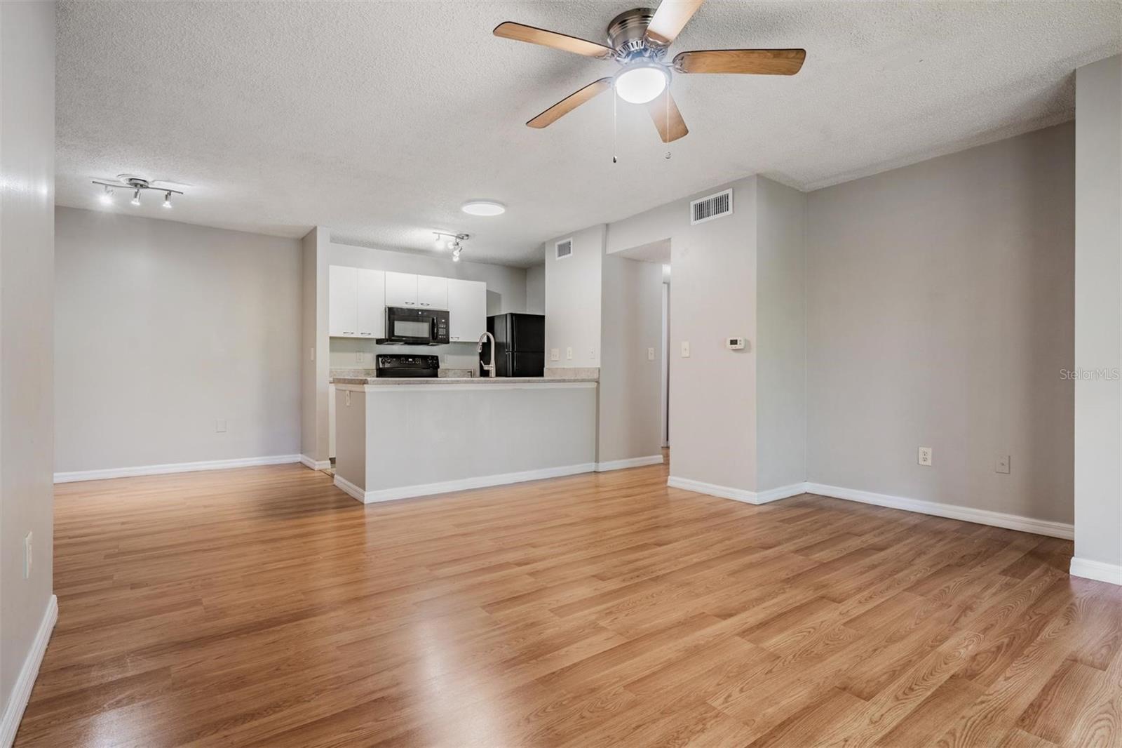 Kitchen and Living Room