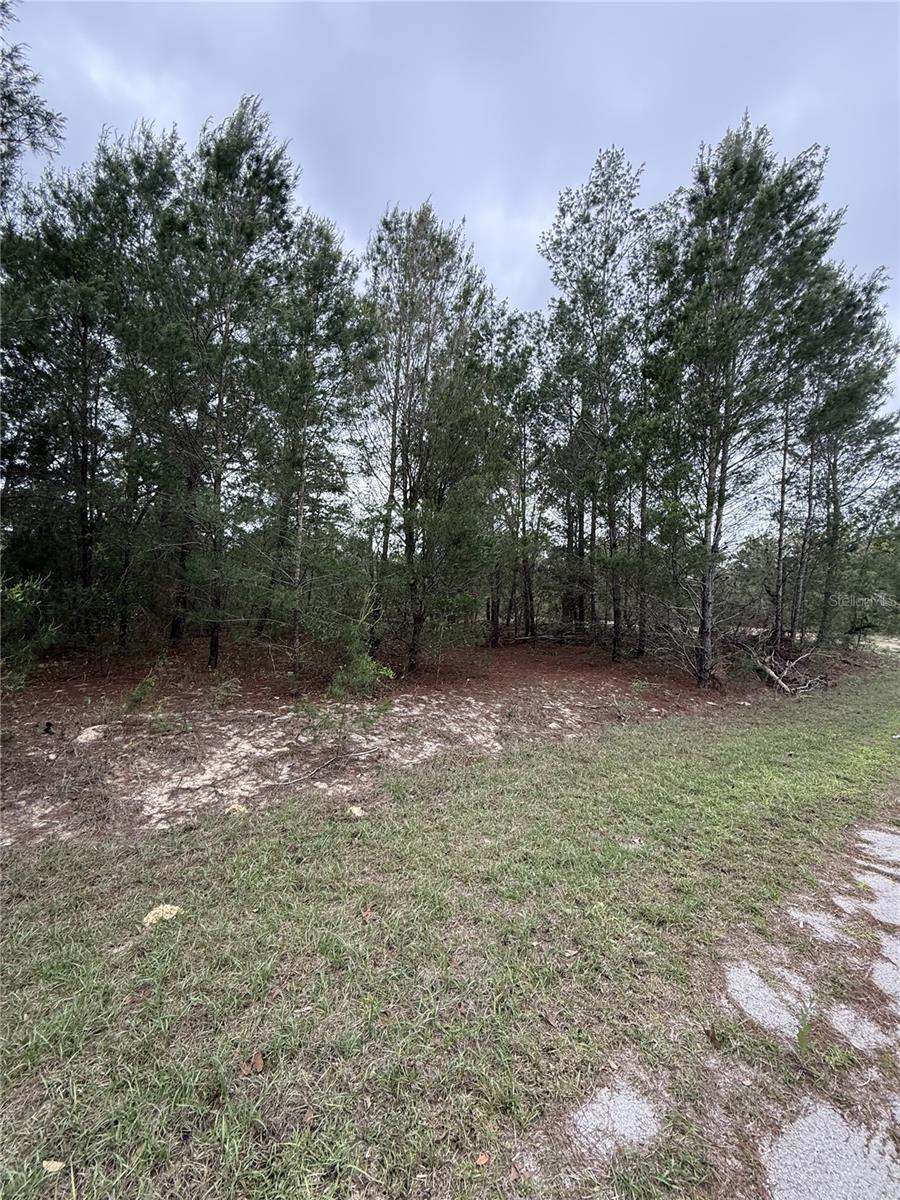 TBD MALAUKA TRAK, OCKLAWAHA, FL, 32179