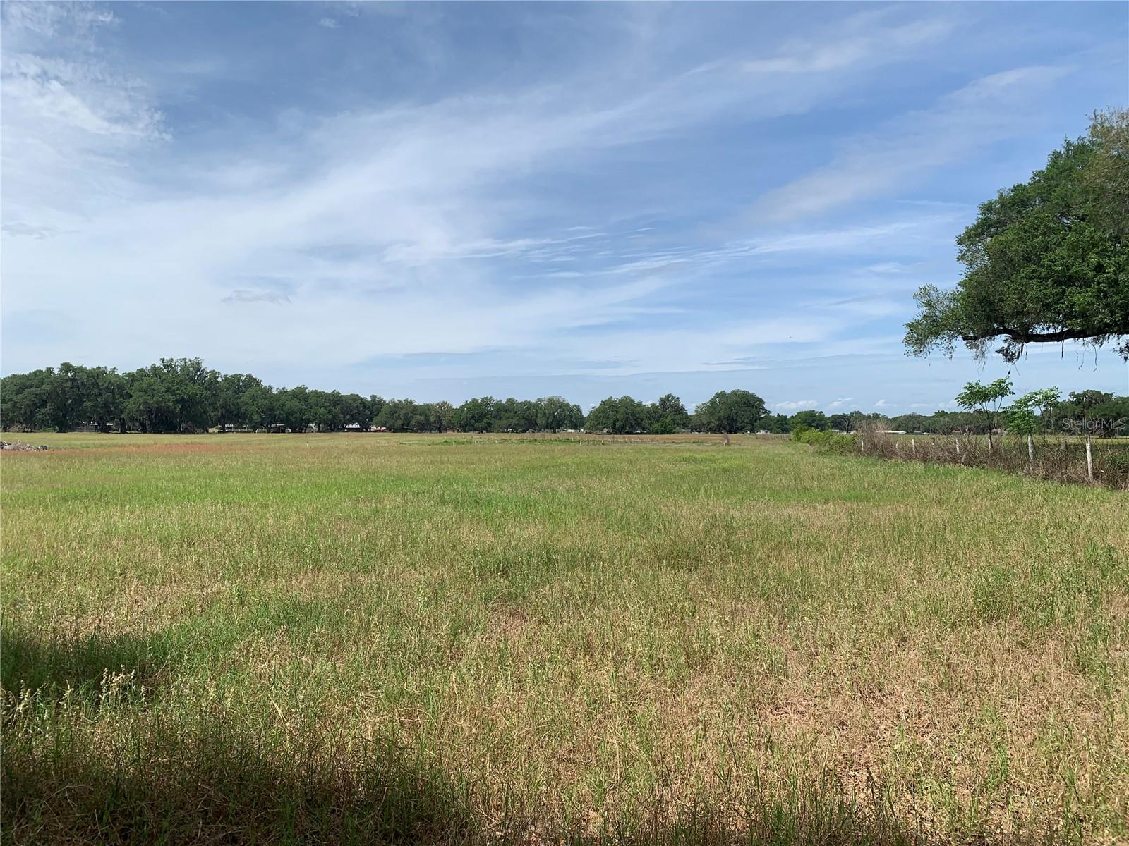 727, WEBSTER, FL, 33597