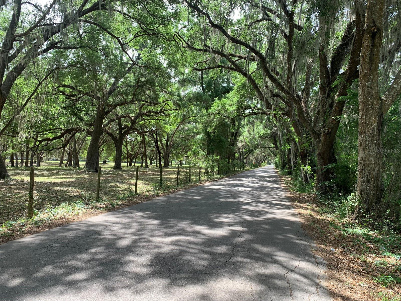 727, WEBSTER, FL, 33597