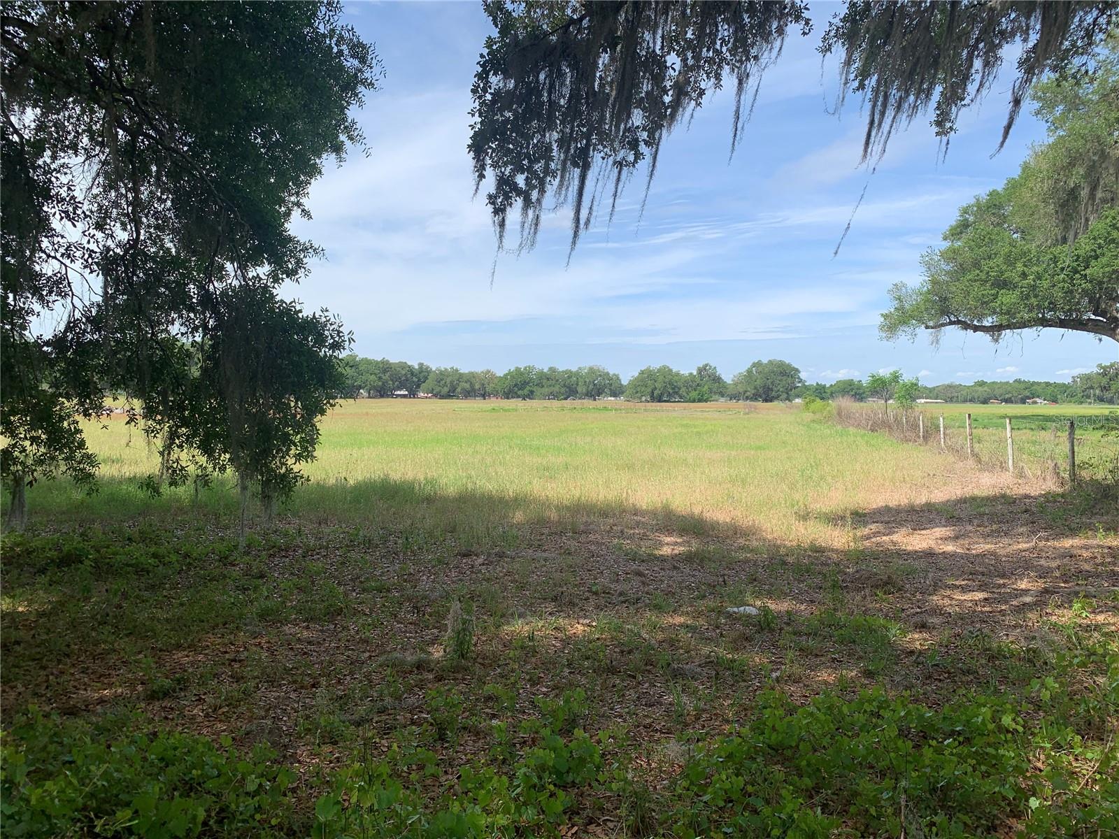 727, WEBSTER, FL, 33597
