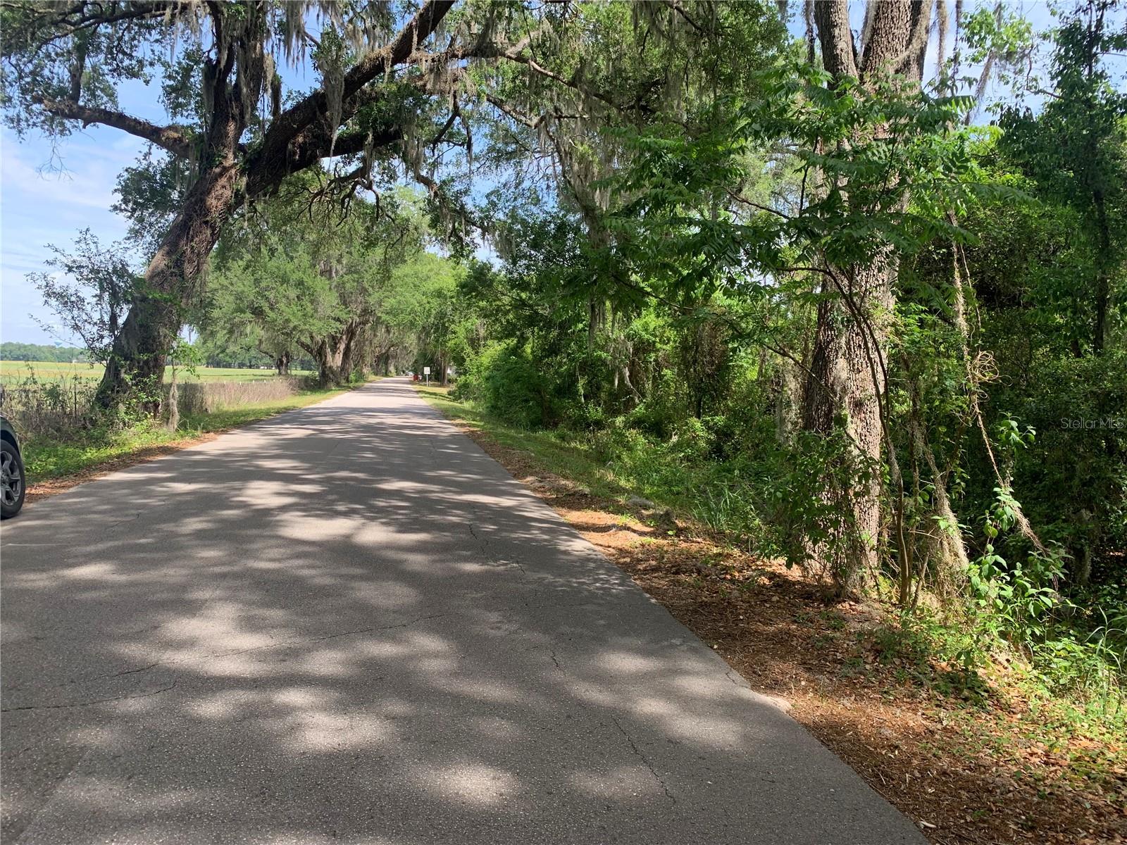 727, WEBSTER, FL, 33597