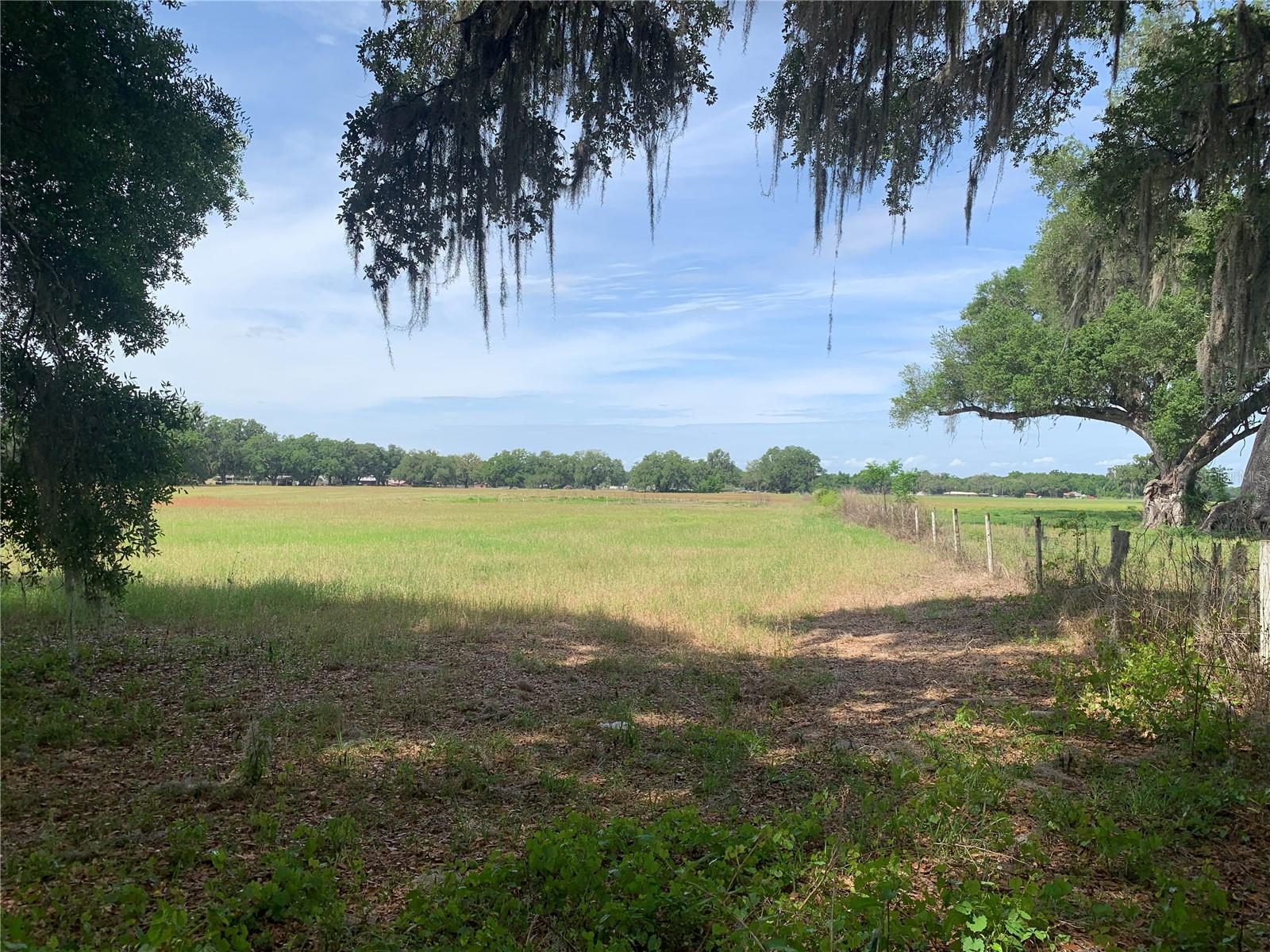 727, WEBSTER, FL, 33597