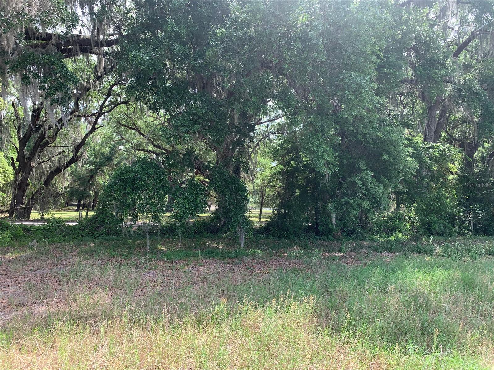 727, WEBSTER, FL, 33597