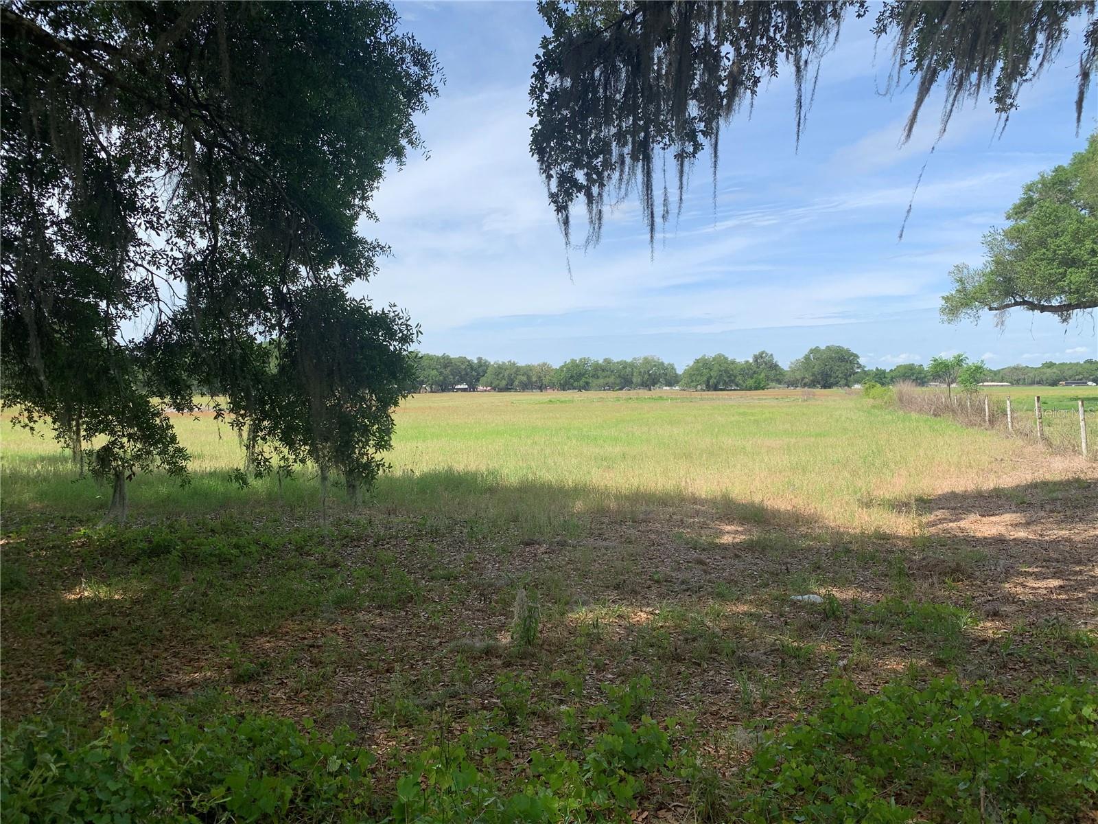 727, WEBSTER, FL, 33597