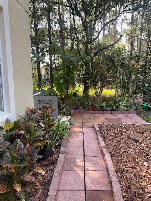 14202 NELL DR, ORLANDO, FL, 32832