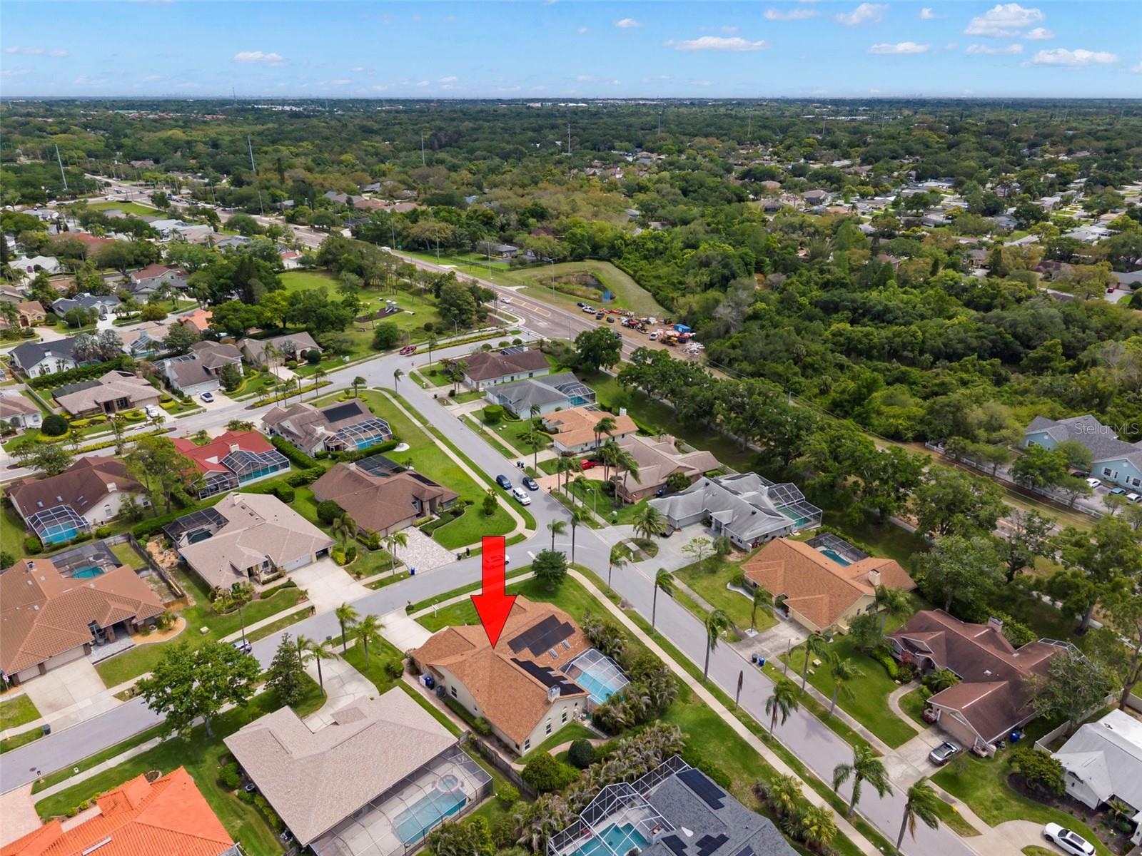2686 SCOBEE DR, PALM HARBOR, FL, 34683