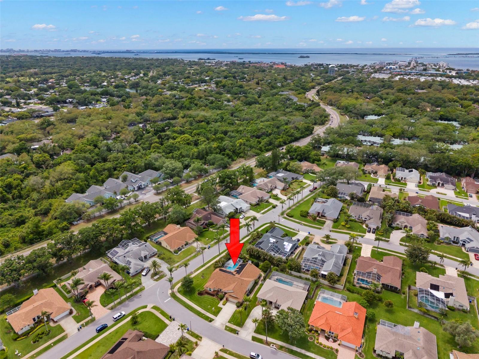 2686 SCOBEE DR, PALM HARBOR, FL, 34683