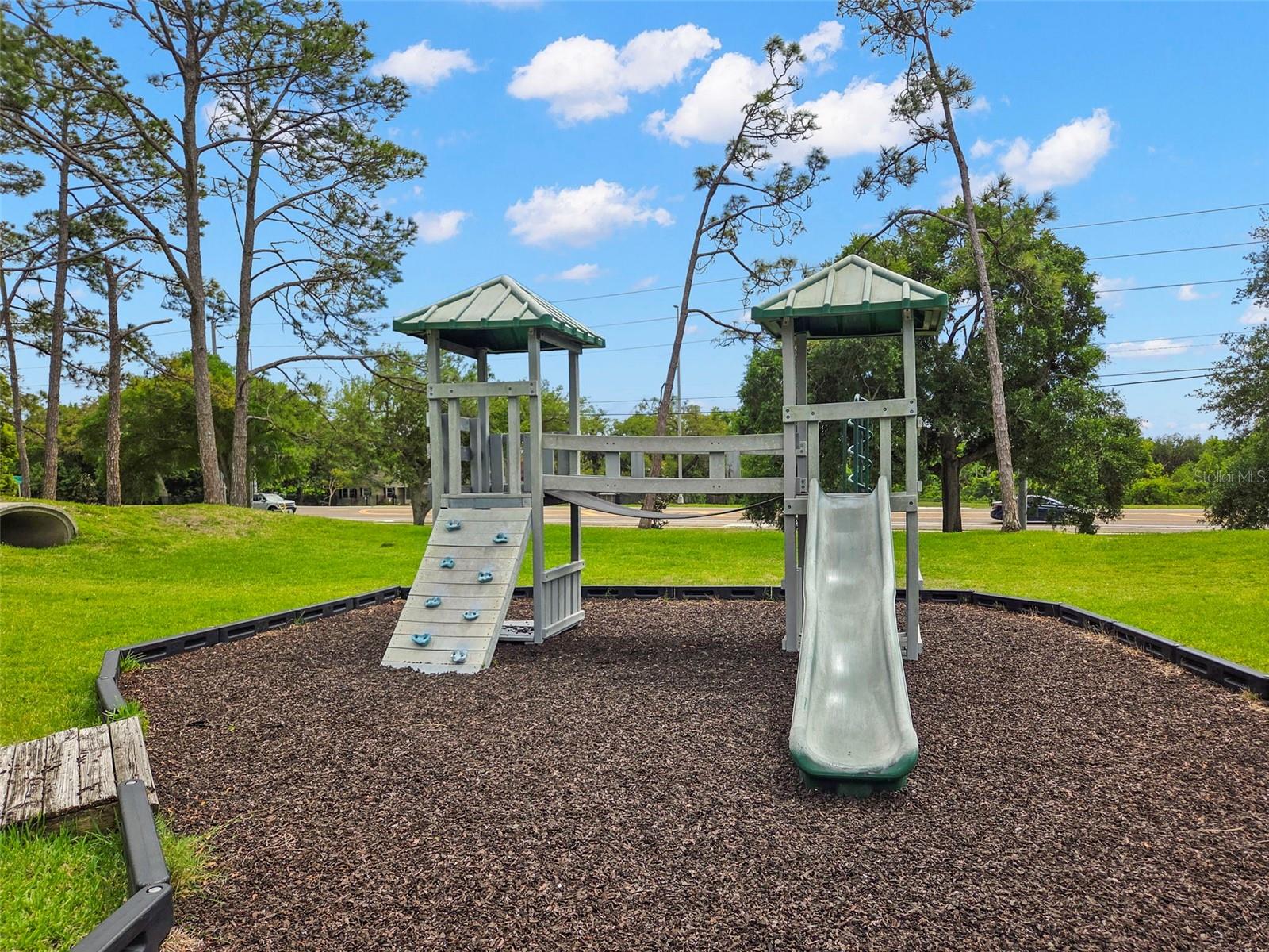 2686 SCOBEE DR, PALM HARBOR, FL, 34683