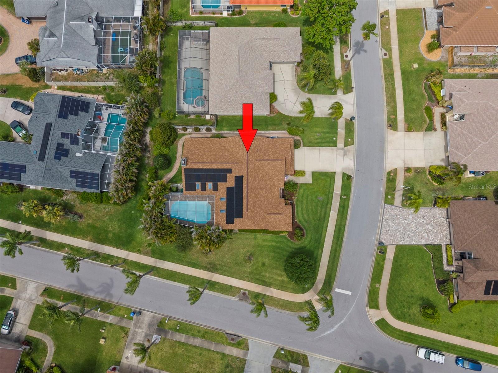 2686 SCOBEE DR, PALM HARBOR, FL, 34683