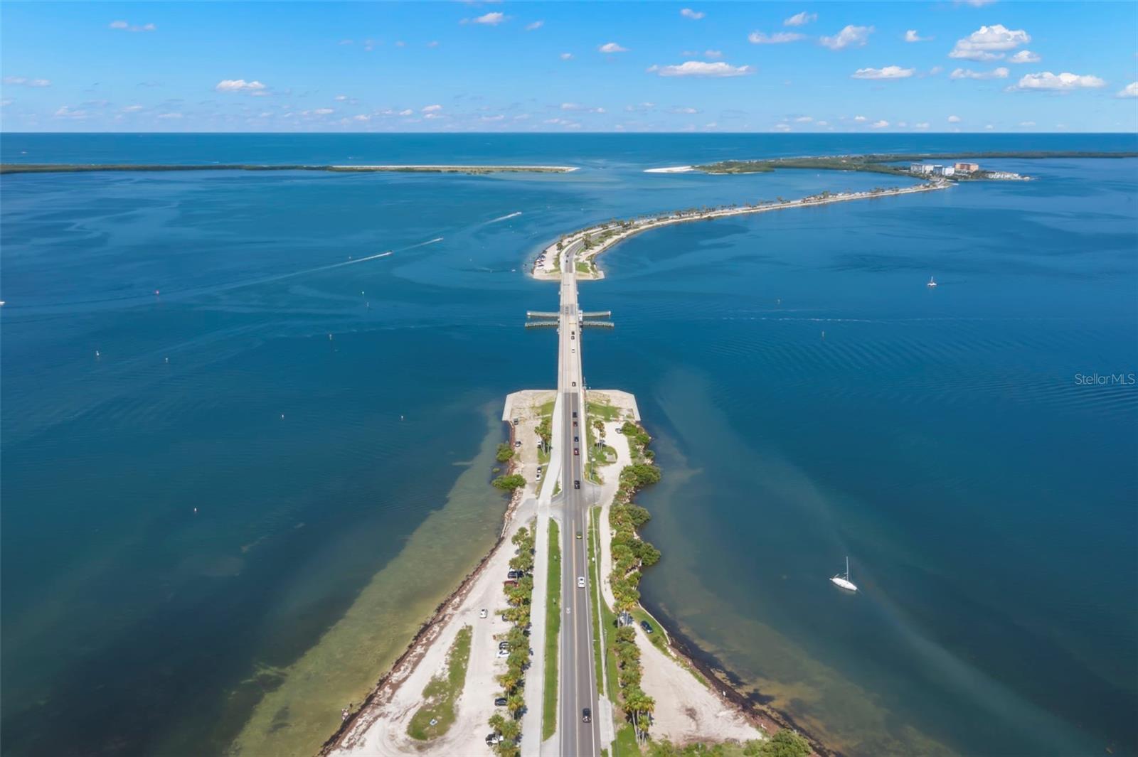 2686 SCOBEE DR, PALM HARBOR, FL, 34683