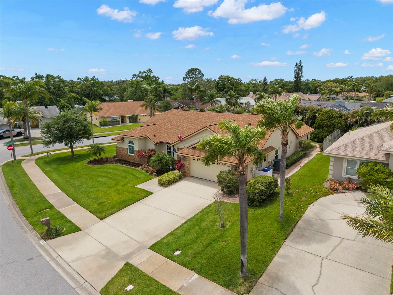 2686 SCOBEE DR, PALM HARBOR, FL, 34683