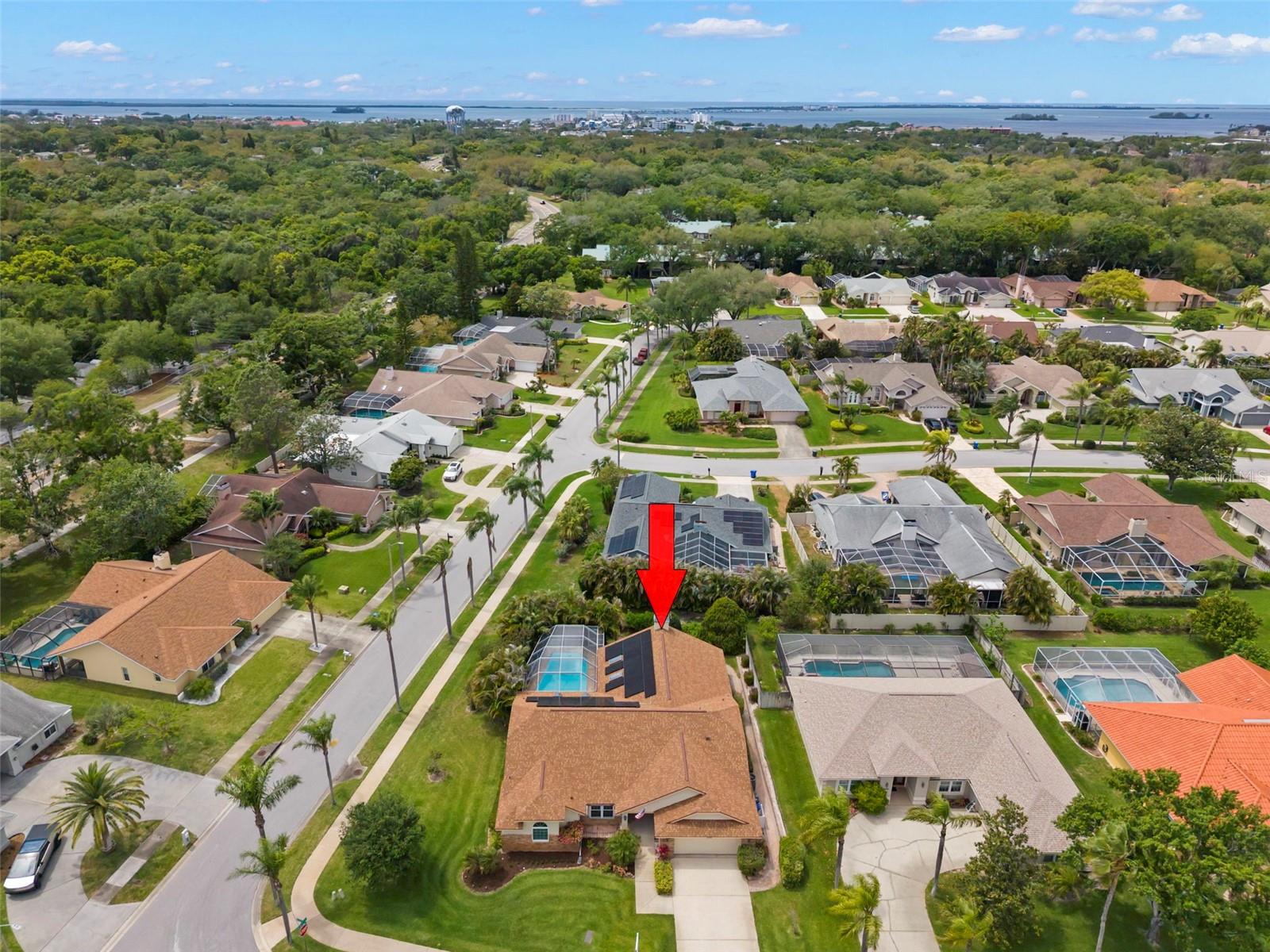 2686 SCOBEE DR, PALM HARBOR, FL, 34683