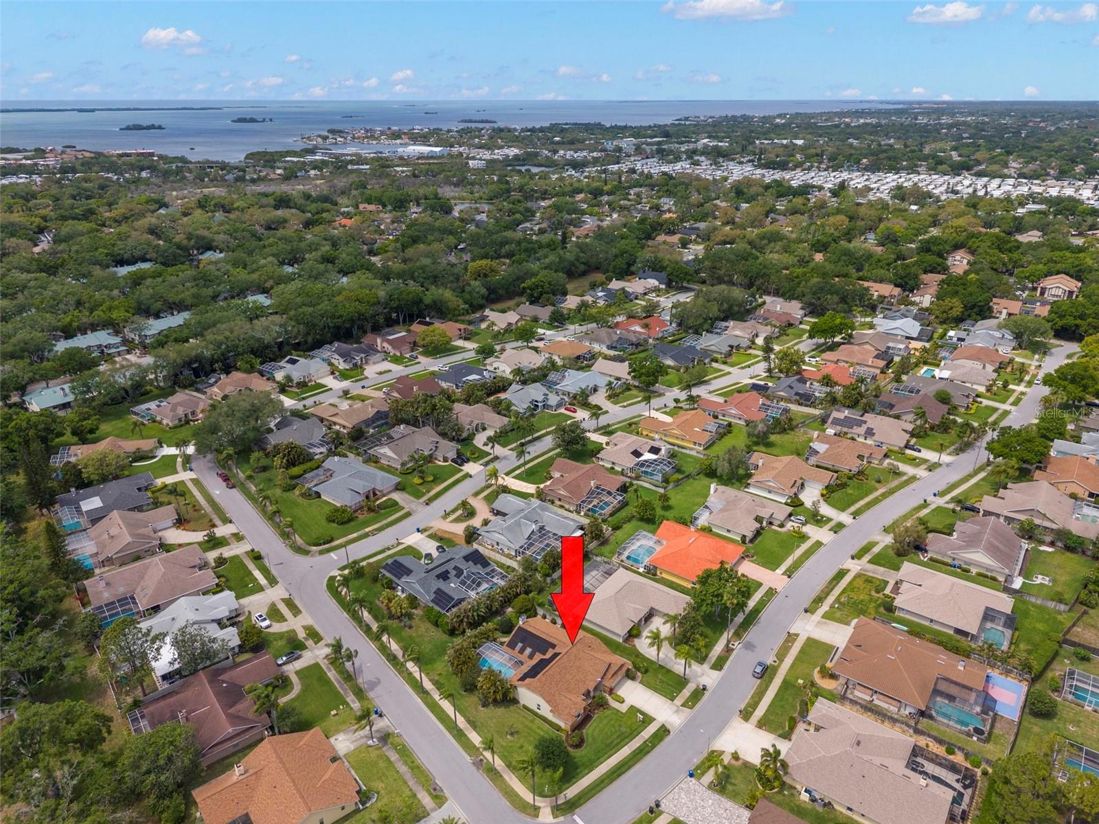 2686 SCOBEE DR, PALM HARBOR, FL, 34683