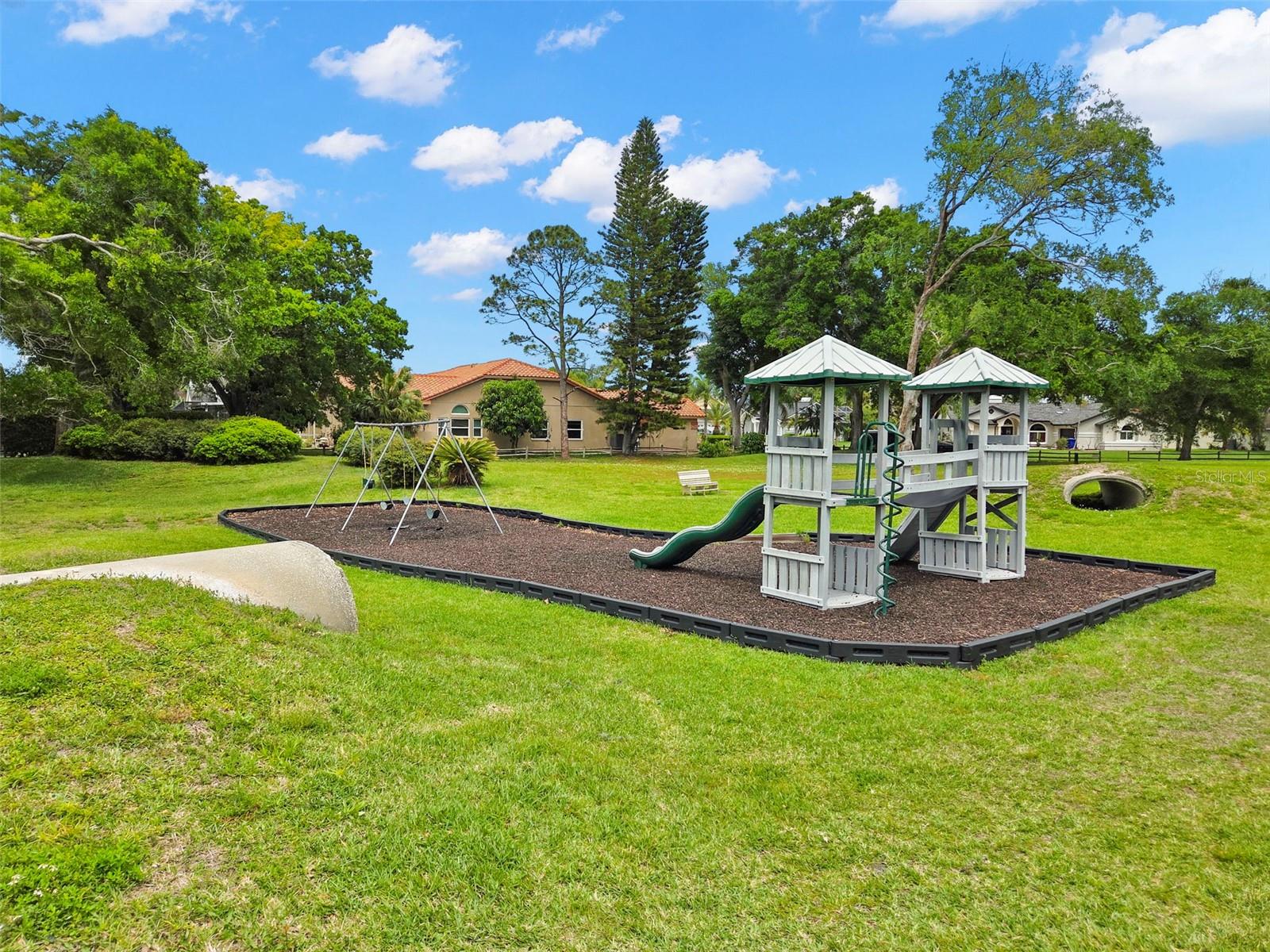 2686 SCOBEE DR, PALM HARBOR, FL, 34683