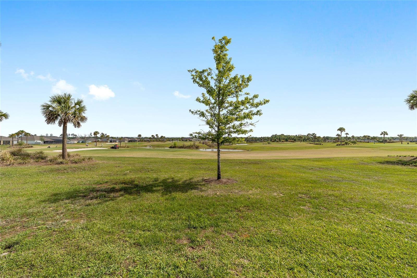 6849 MICKYLEE RUN, THE VILLAGES, FL, 34762