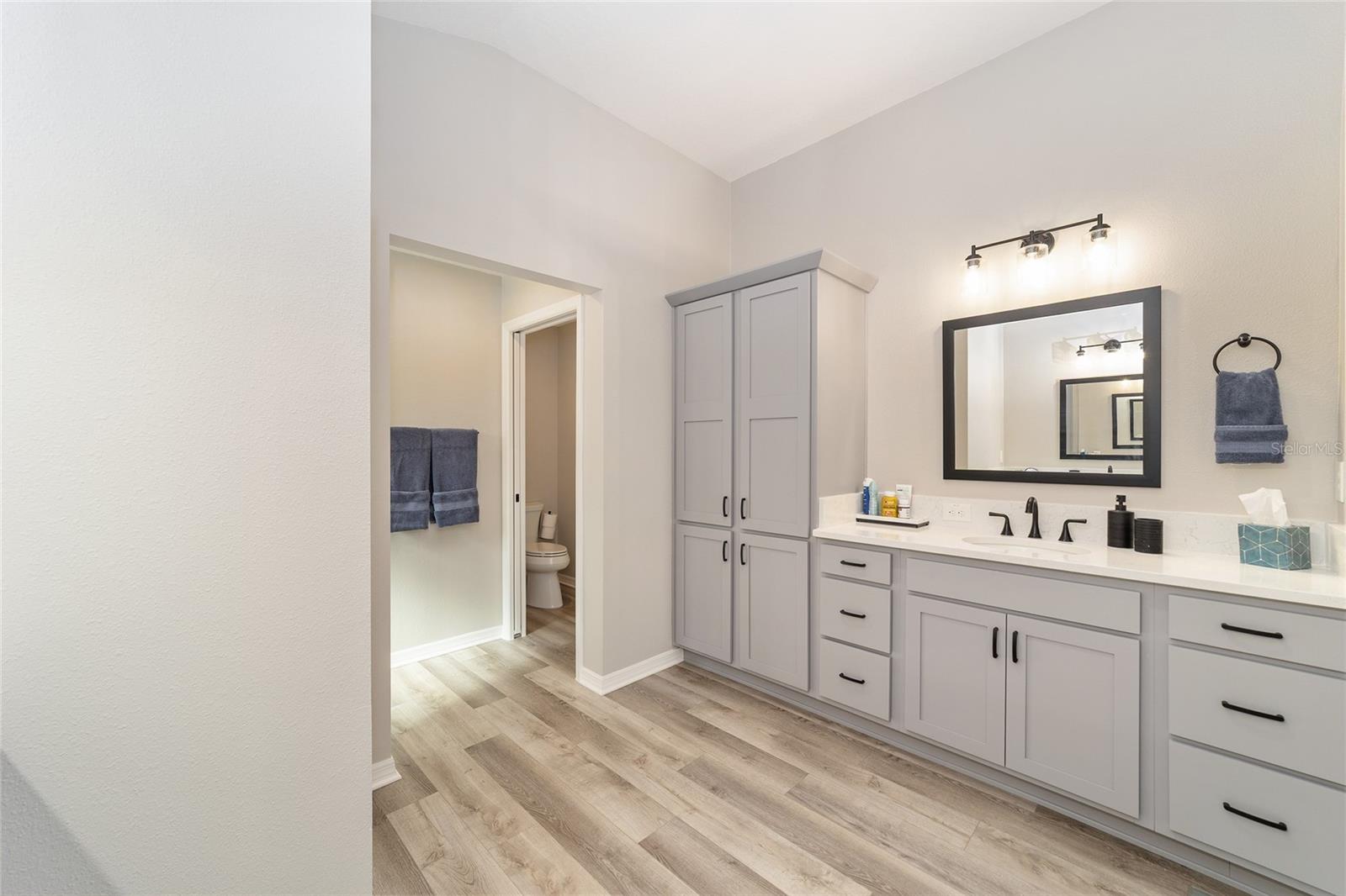 6849 MICKYLEE RUN, THE VILLAGES, FL, 34762