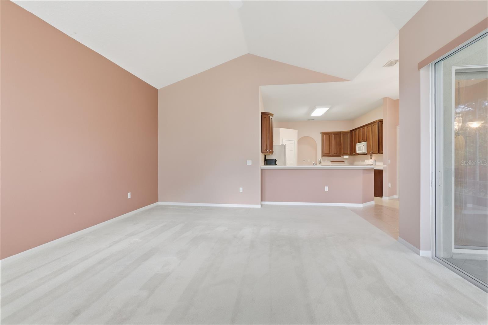 1014 MARJORIE RAWLINGS DR, DELAND, FL, 32720