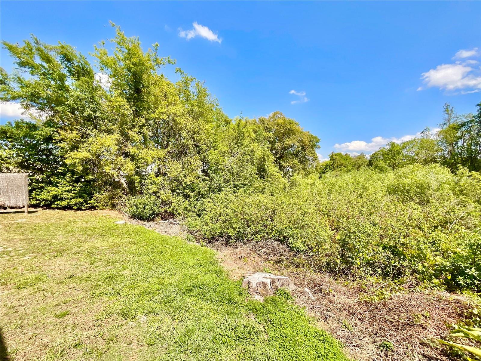 1828 OSPREY LN, LUTZ, FL, 33549