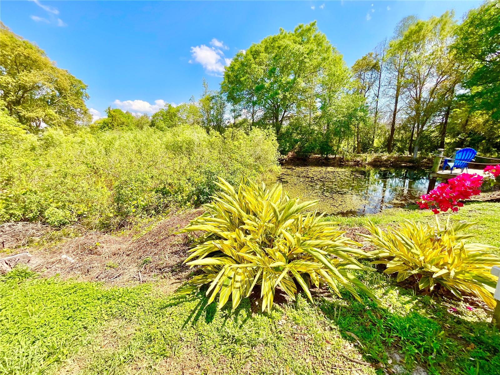 1828 OSPREY LN, LUTZ, FL, 33549