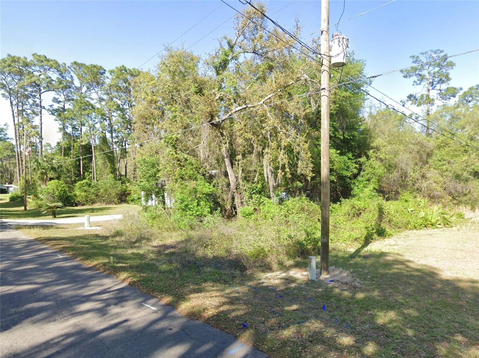SE 178TH AVE, SILVER SPRINGS, FL, 34488