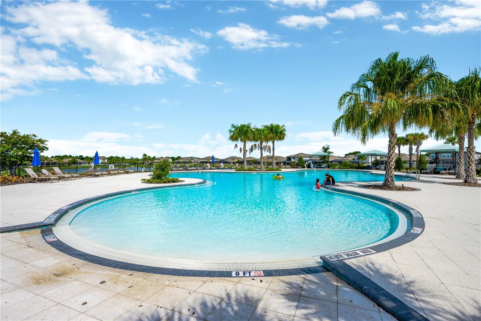10207 CAKEBREAD LN, RIVERVIEW, FL, 33578