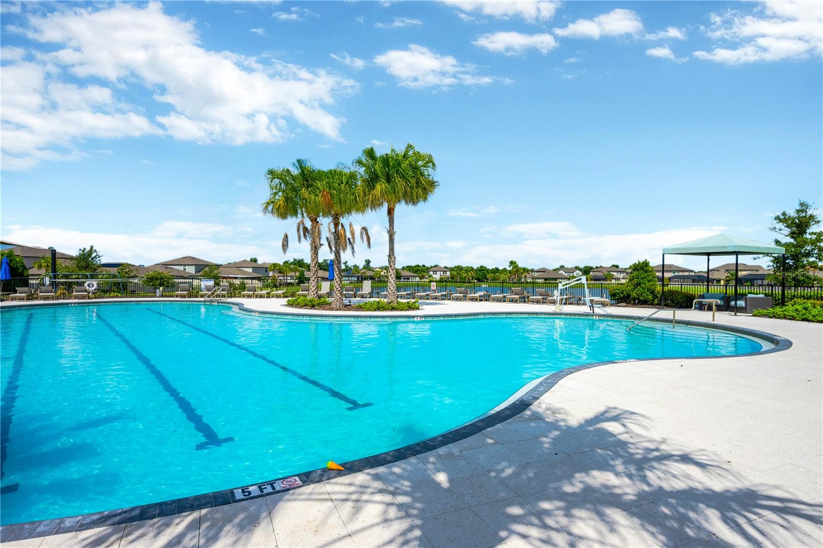 10207 CAKEBREAD LN, RIVERVIEW, FL, 33578