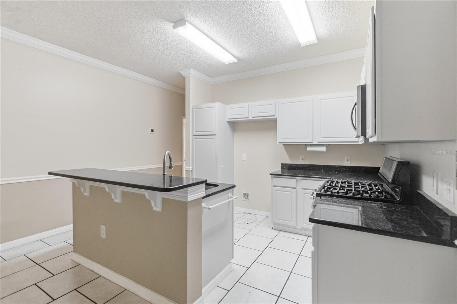 5316 CORAL VINE LN, KISSIMMEE, FL, 34758