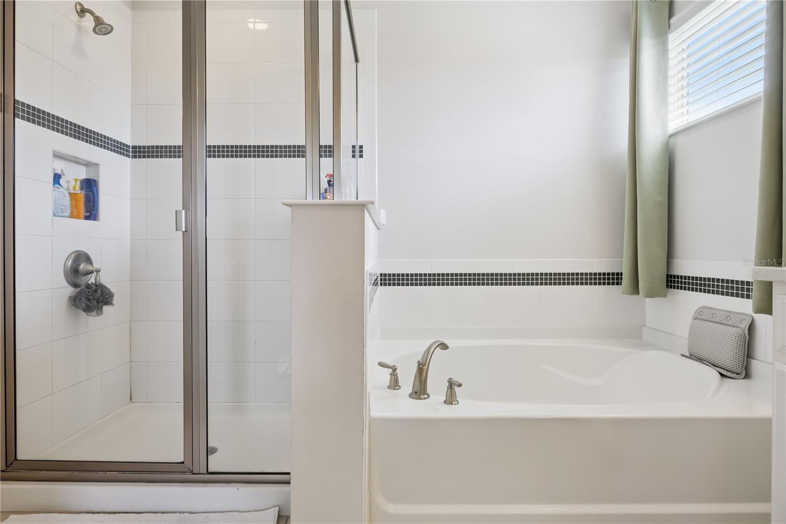 10224 ATWATER BAY DR, WINTER GARDEN, FL, 34787