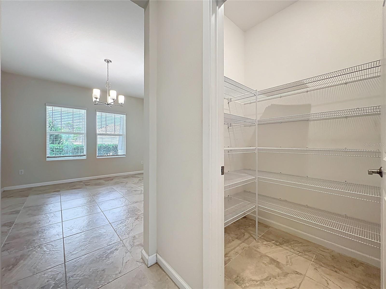 1740 BLACK MAPLE PL, OCOEE, FL, 34761