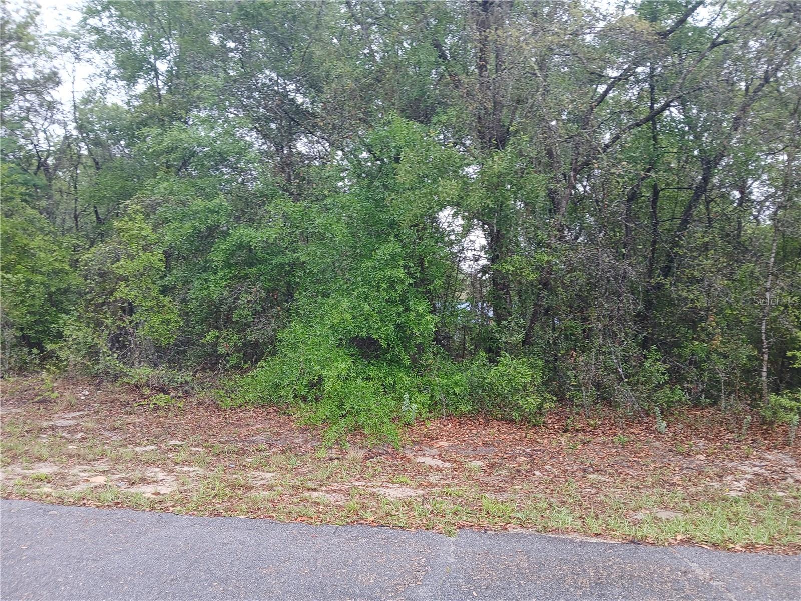 7851 N VINCE DR, CITRUS SPRINGS, FL, 34434