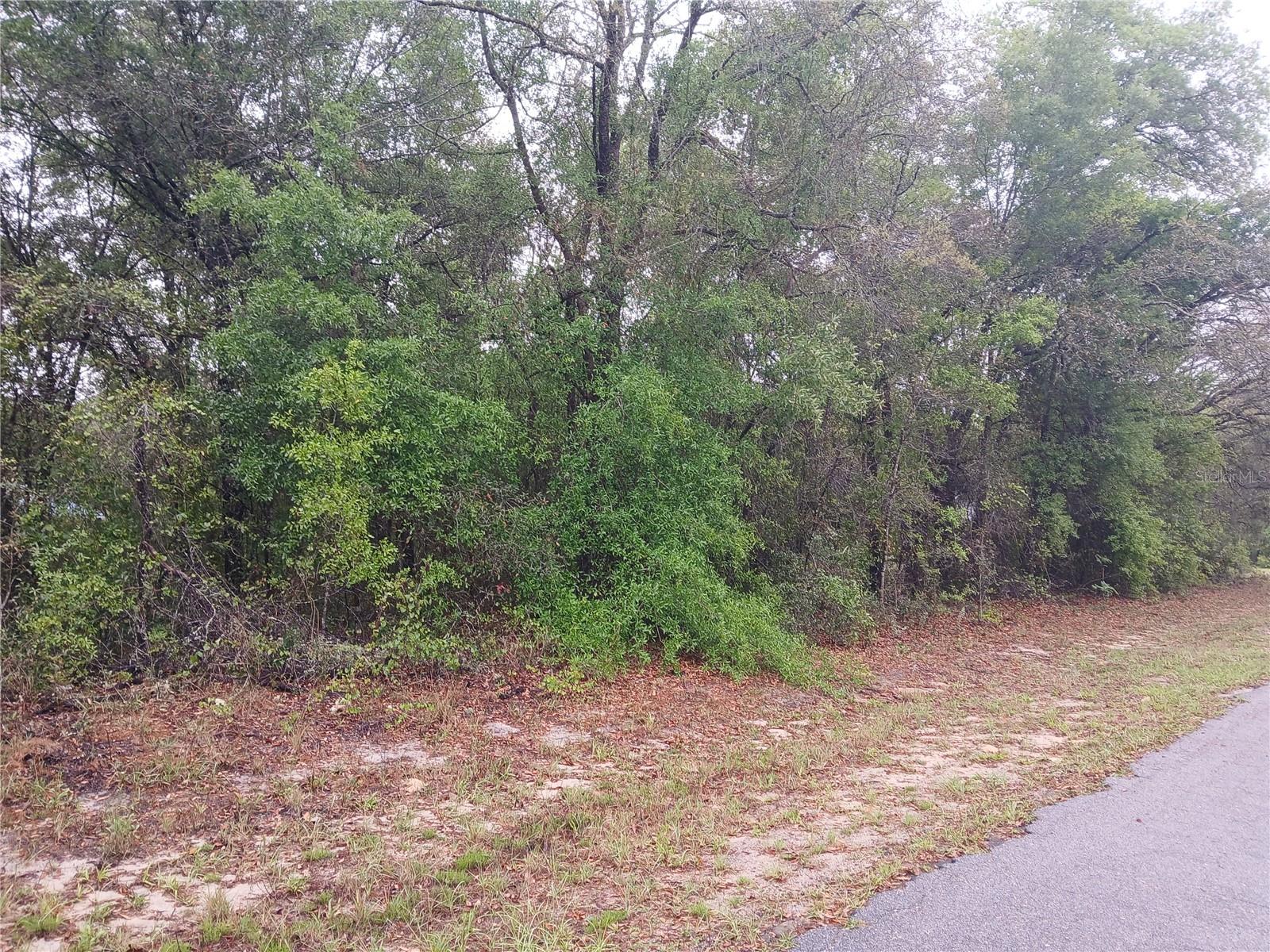 7851 N VINCE DR, CITRUS SPRINGS, FL, 34434