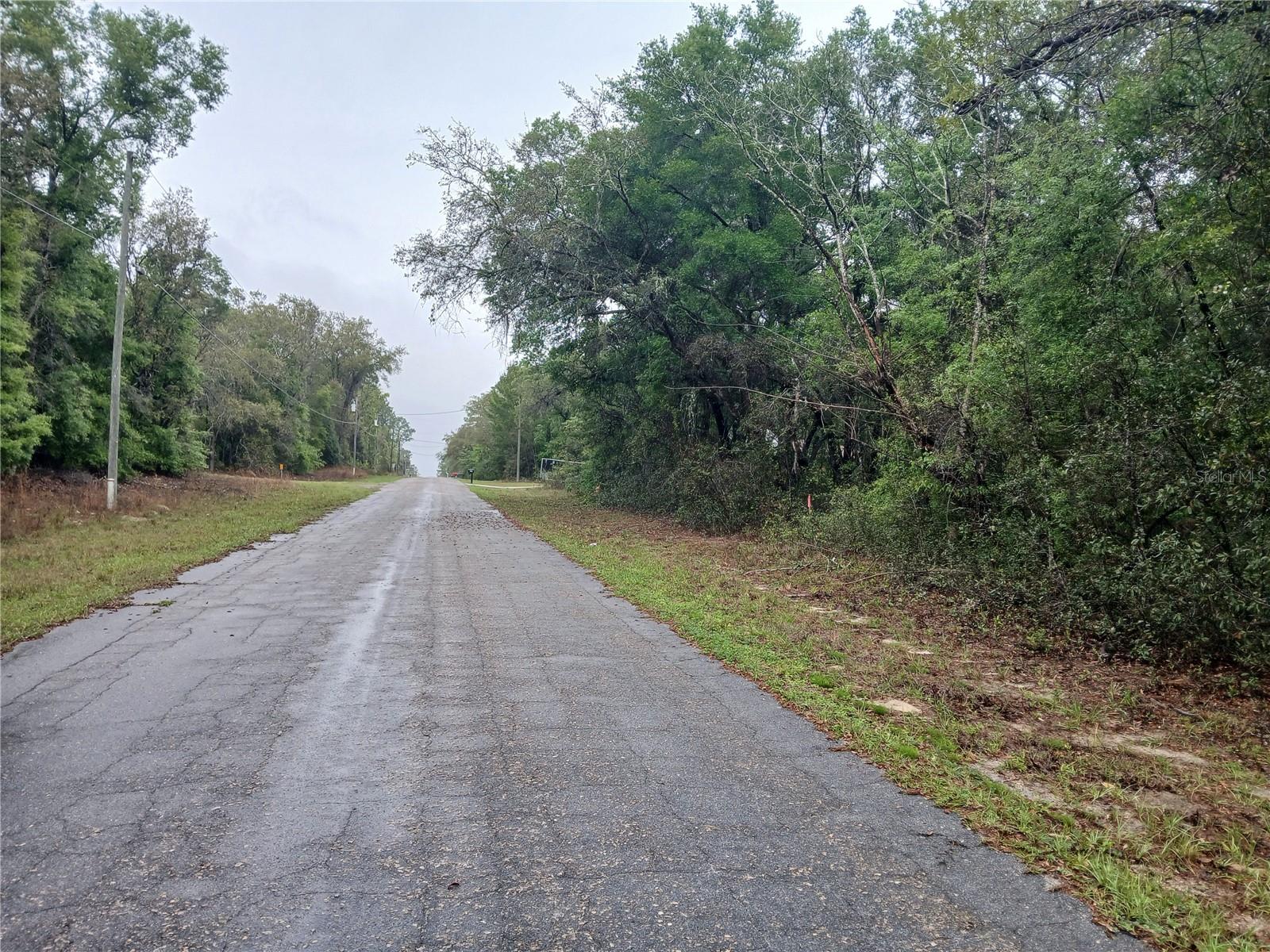 7851 N VINCE DR, CITRUS SPRINGS, FL, 34434