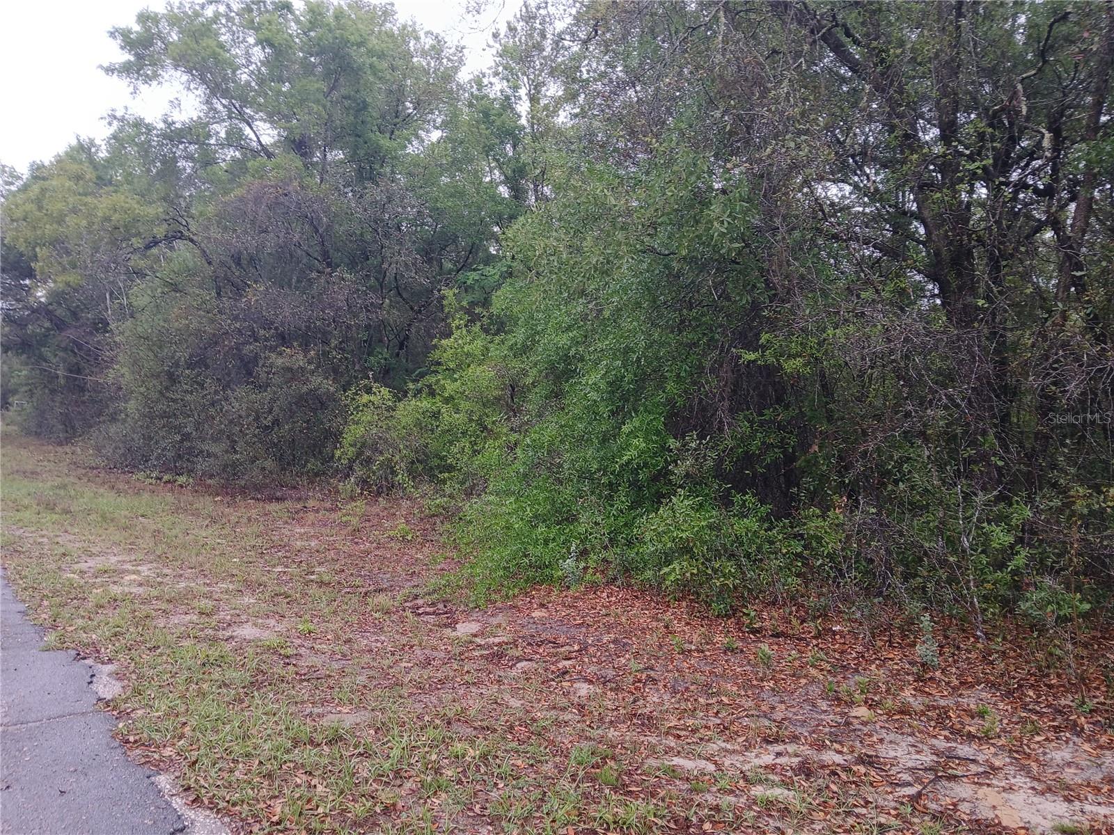 7851 N VINCE DR, CITRUS SPRINGS, FL, 34434