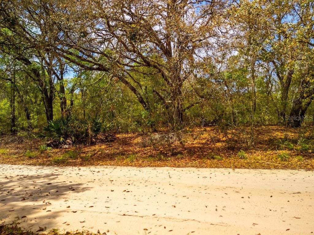 00 NE 131ST TERRACE, BRONSON, FL, 32621