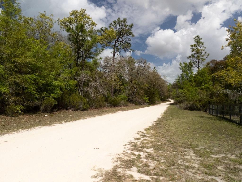 00 NE 131ST TERRACE, BRONSON, FL, 32621