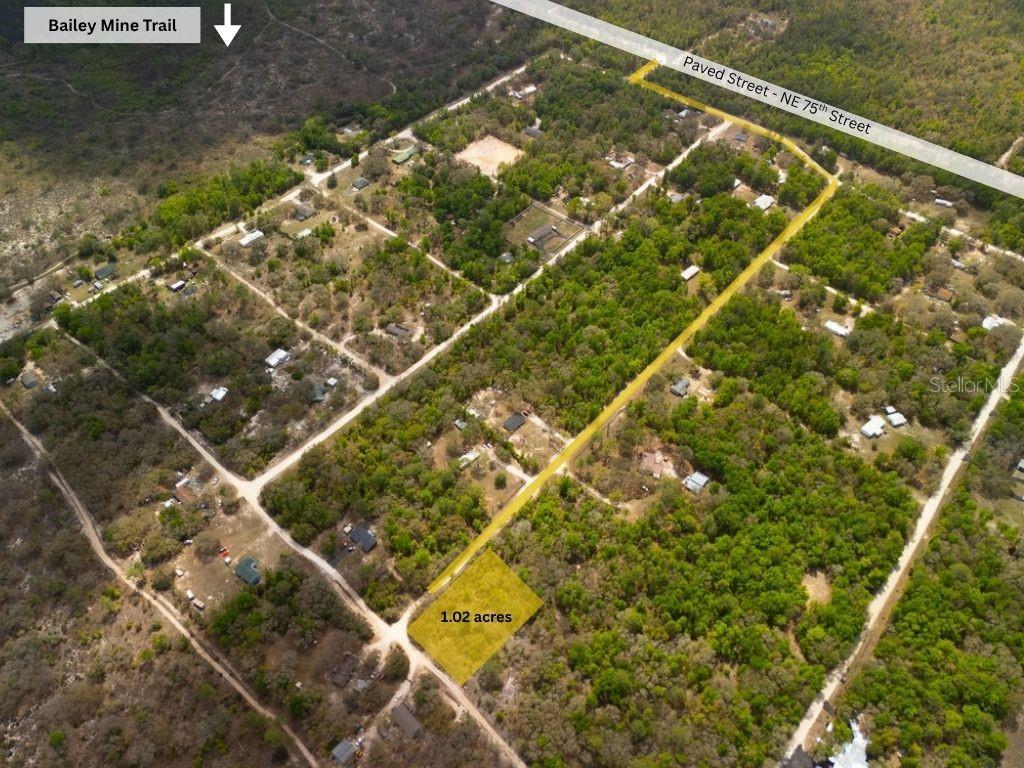 00 NE 131ST TERRACE, BRONSON, FL, 32621