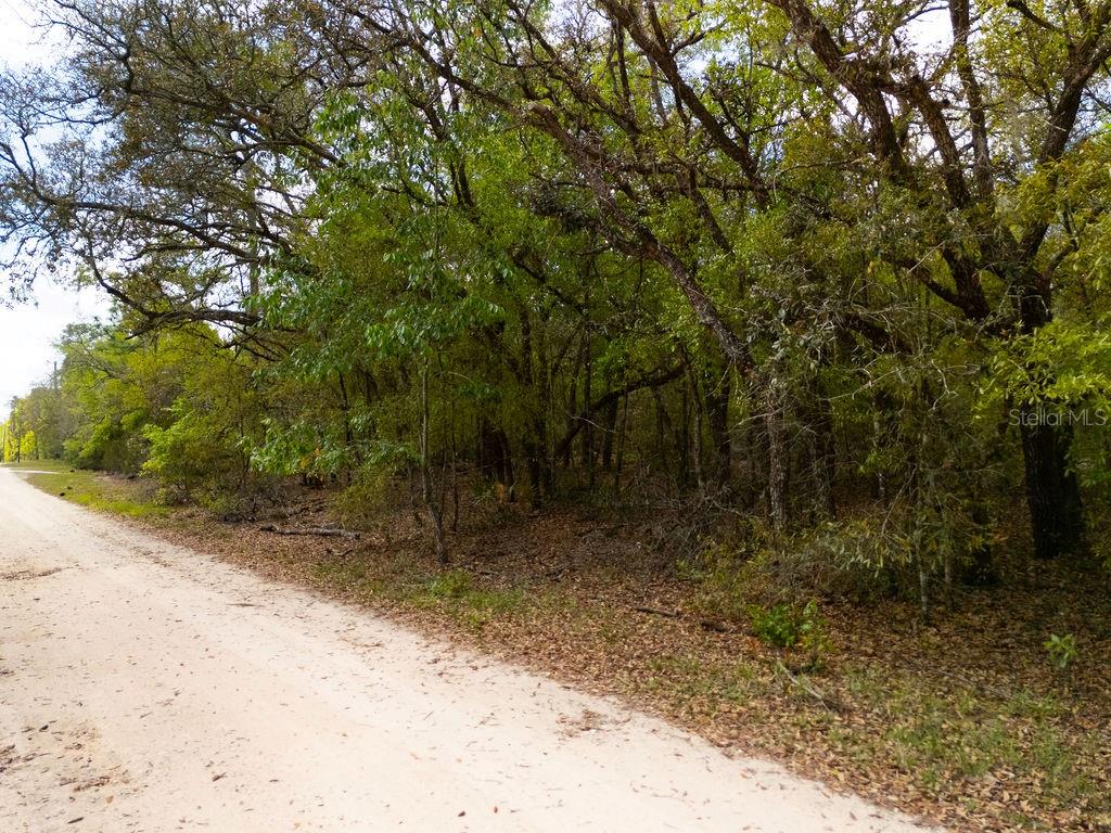00 NE 131ST TERRACE, BRONSON, FL, 32621