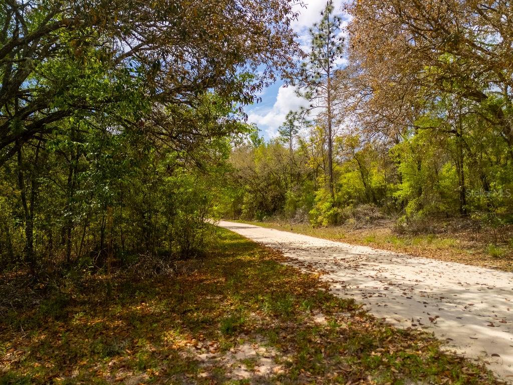 00 NE 131ST TERRACE, BRONSON, FL, 32621