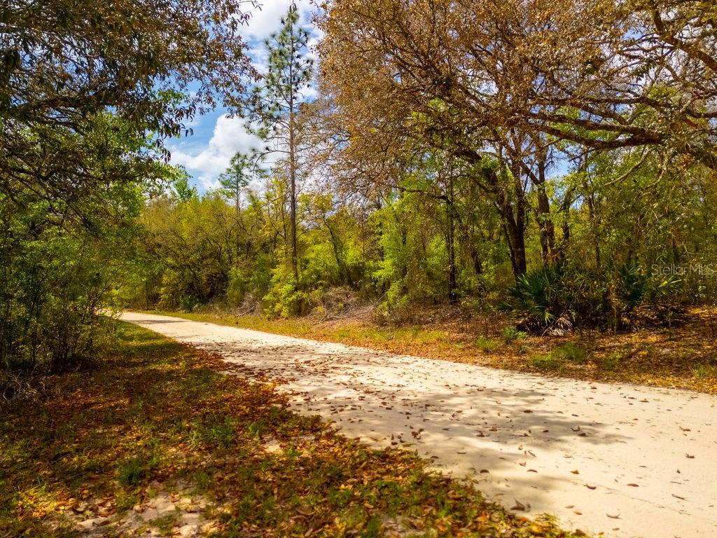 00 NE 131ST TERRACE, BRONSON, FL, 32621