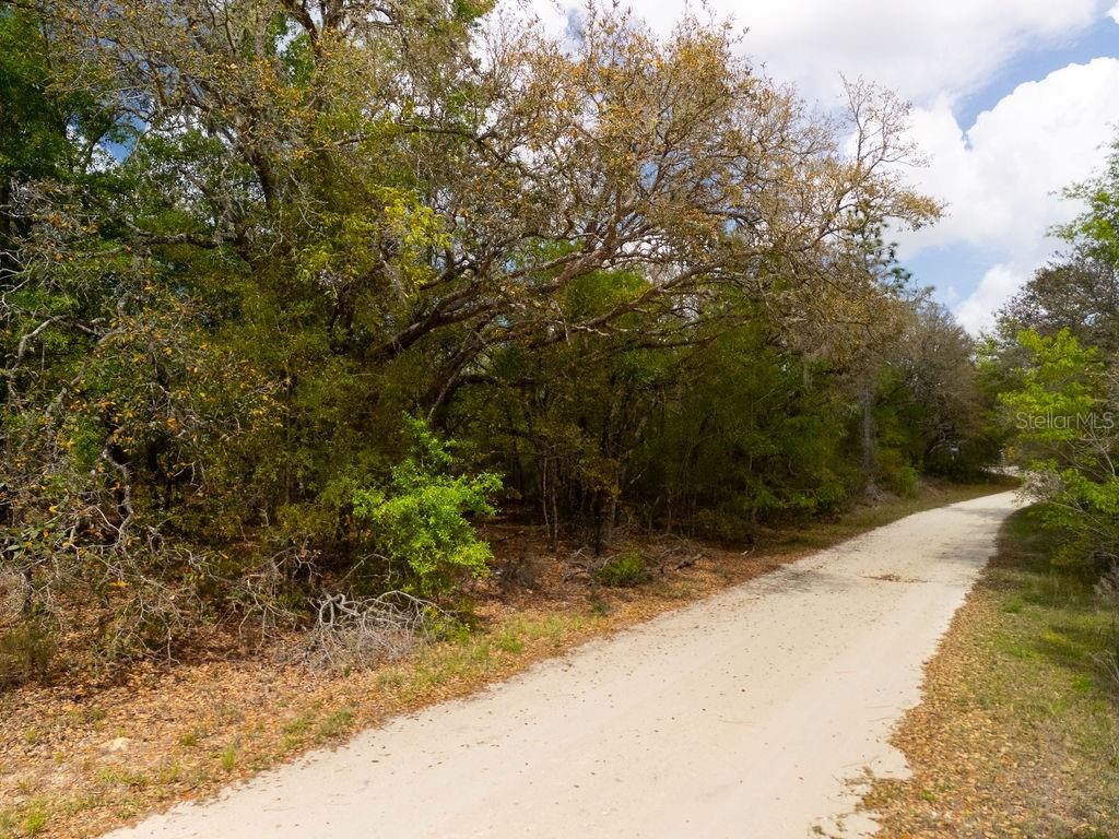 00 NE 131ST TERRACE, BRONSON, FL, 32621