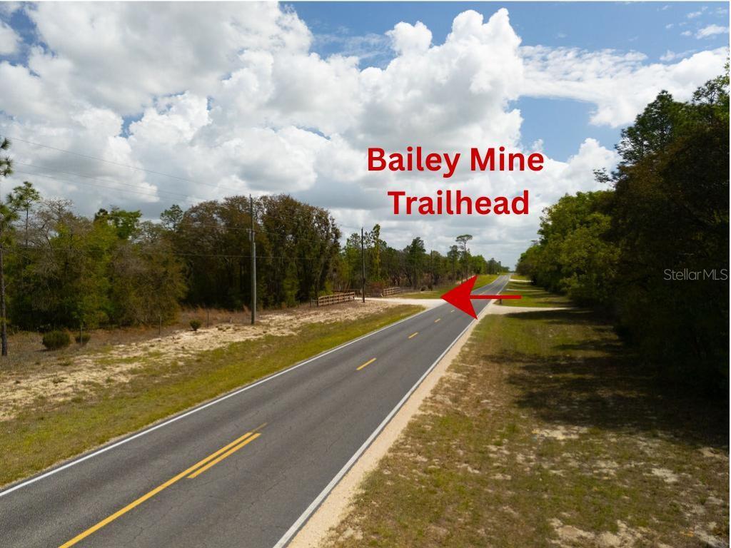 00 NE 131ST TERRACE, BRONSON, FL, 32621