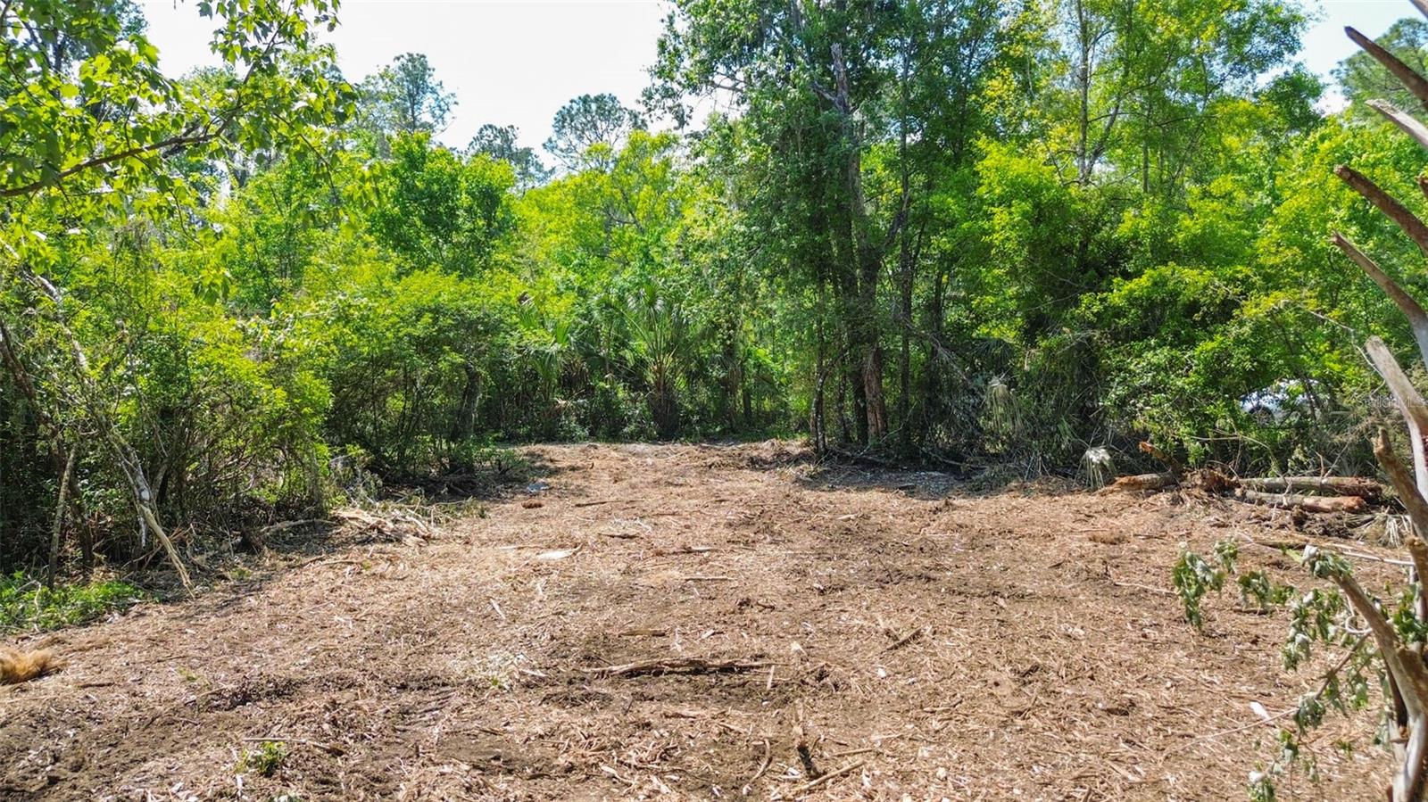 0 MUDDY WATER TRL, THONOTOSASSA, FL, 33592