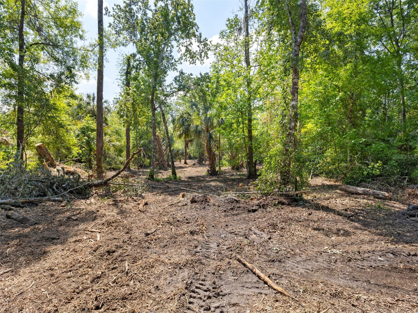 0 MUDDY WATER TRL, THONOTOSASSA, FL, 33592