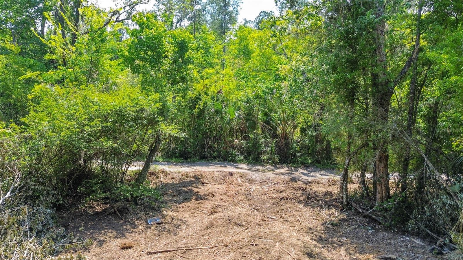 0 MUDDY WATER TRL, THONOTOSASSA, FL, 33592