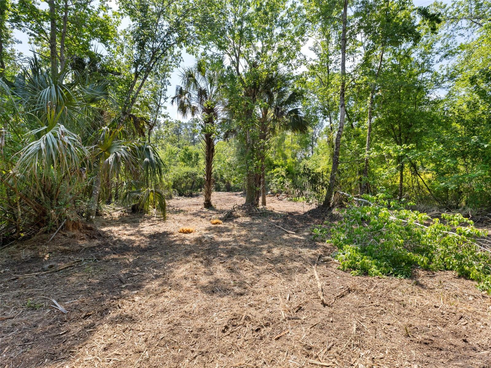 0 MUDDY WATER TRL, THONOTOSASSA, FL, 33592