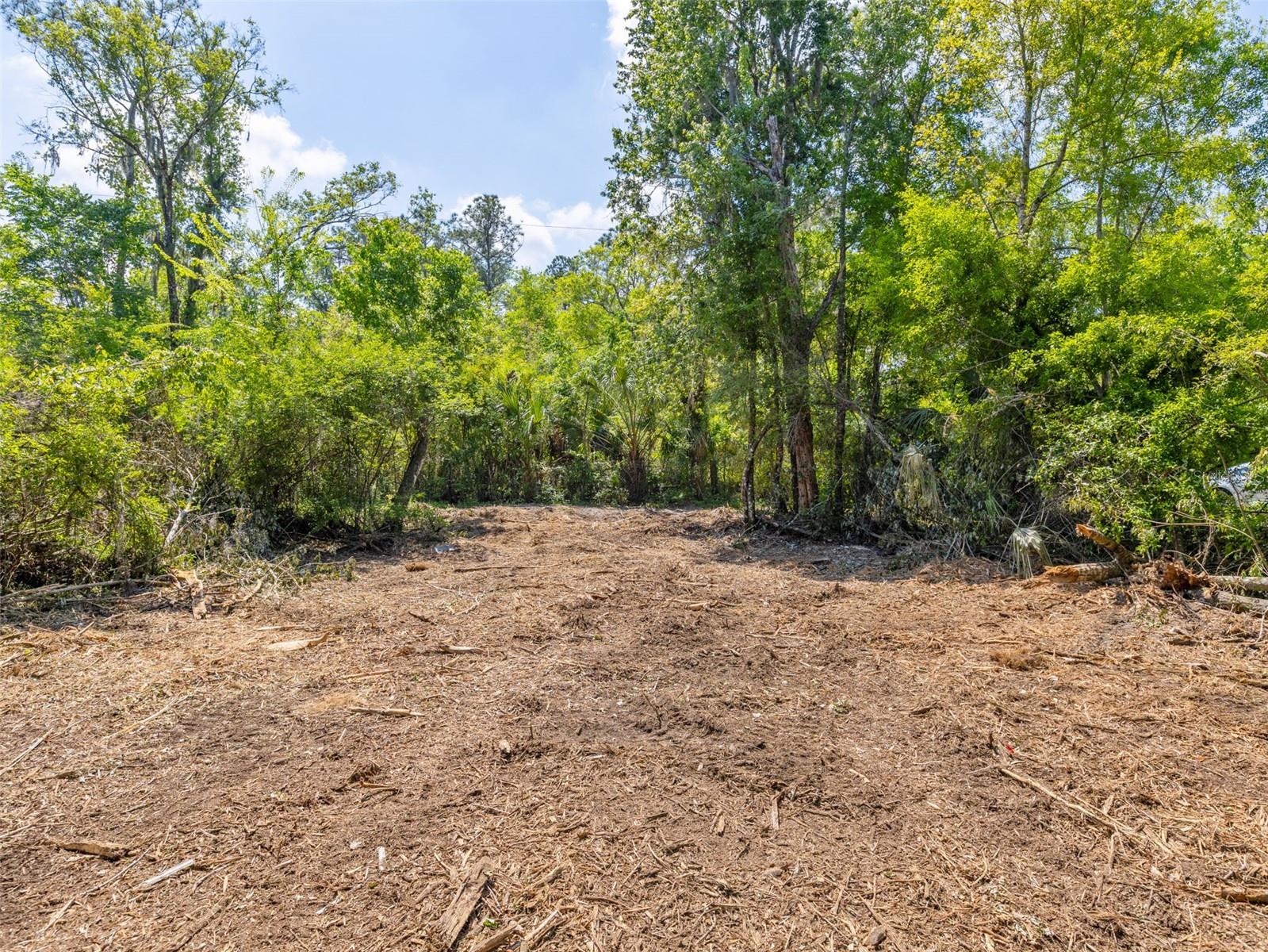 0 MUDDY WATER TRL, THONOTOSASSA, FL, 33592